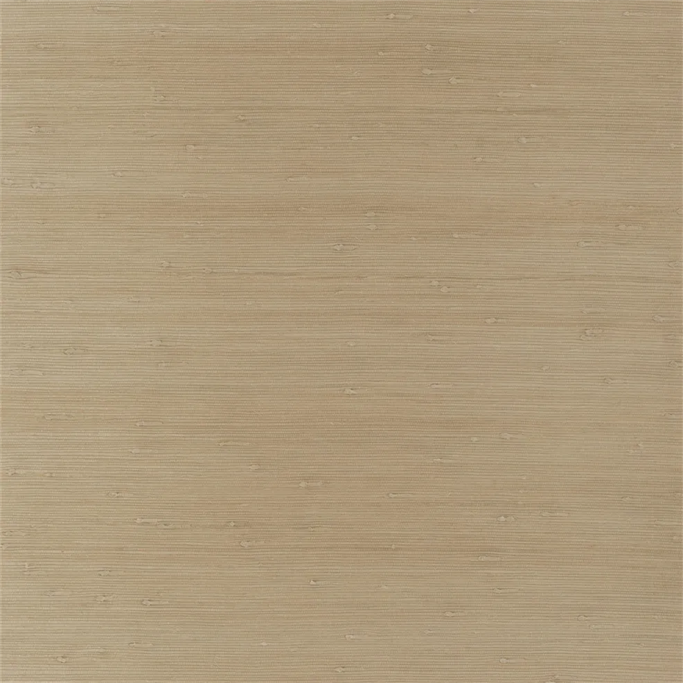 Ralph Lauren Seagrass Weave Behang PRL5087/01