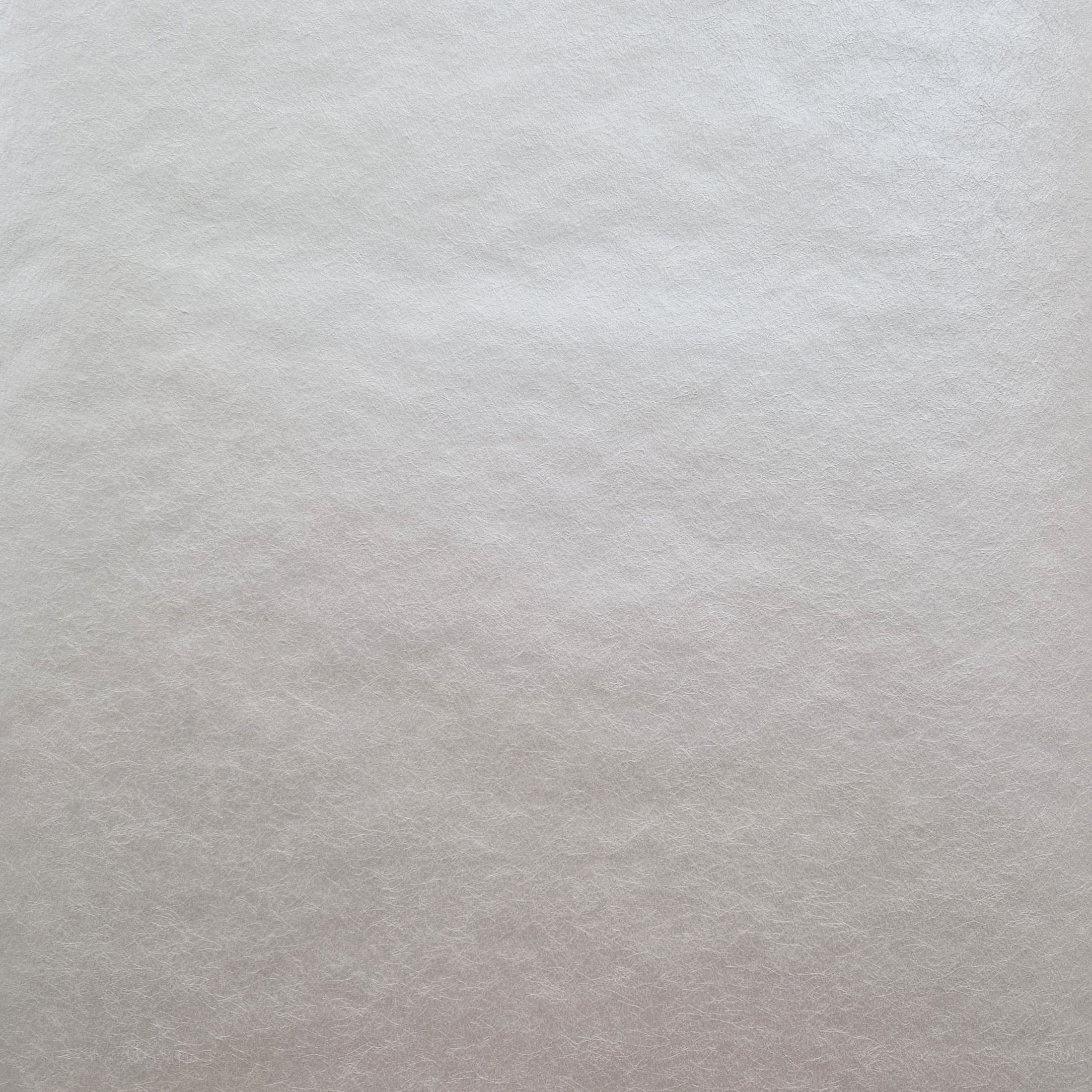 1838 Wallcoverings Carla Behang 1703-114-01 - Ivory Cream