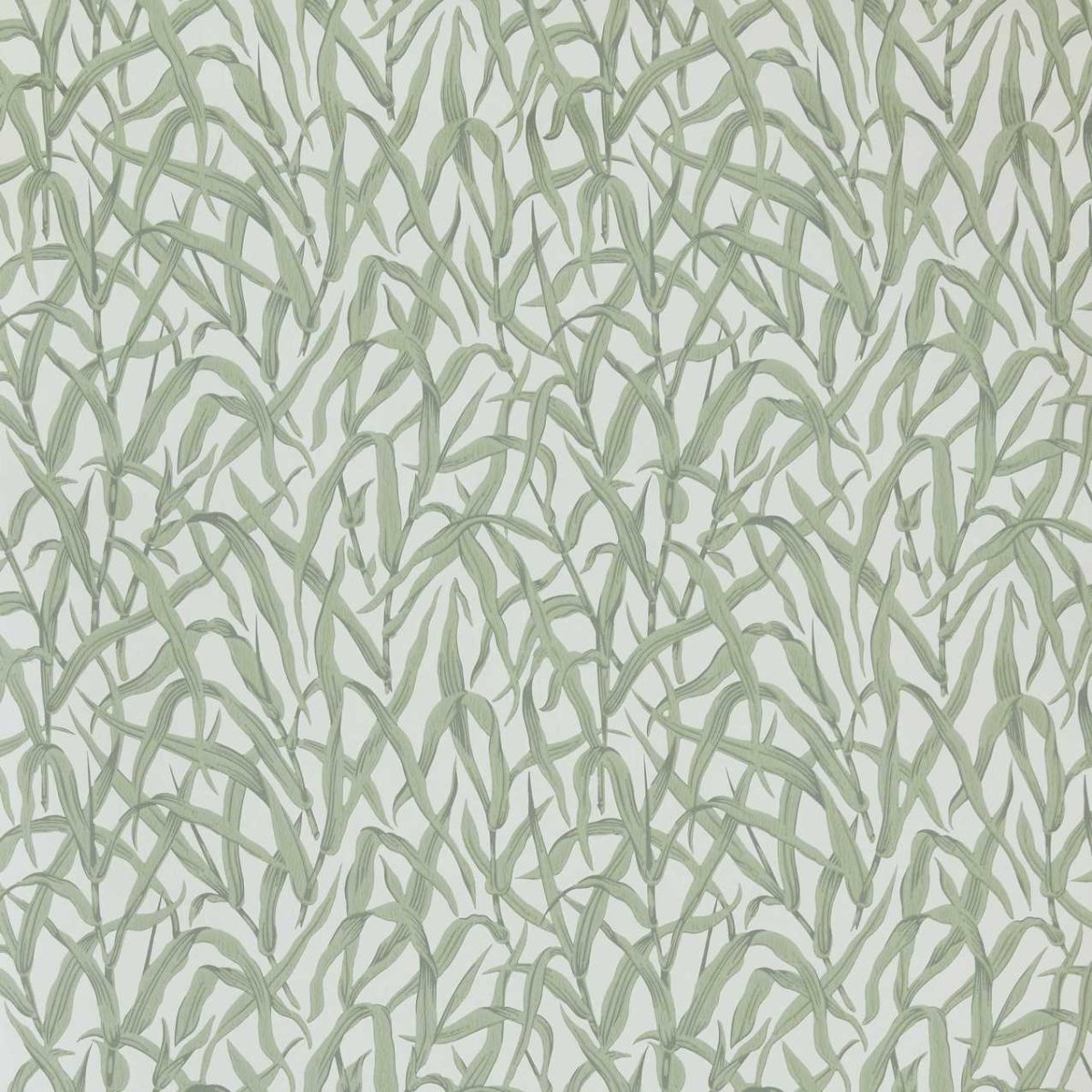 1838 Wallcoverings Ornamental Grasses Behang 2513-185-01 - LAB COLOUR THE WORLD