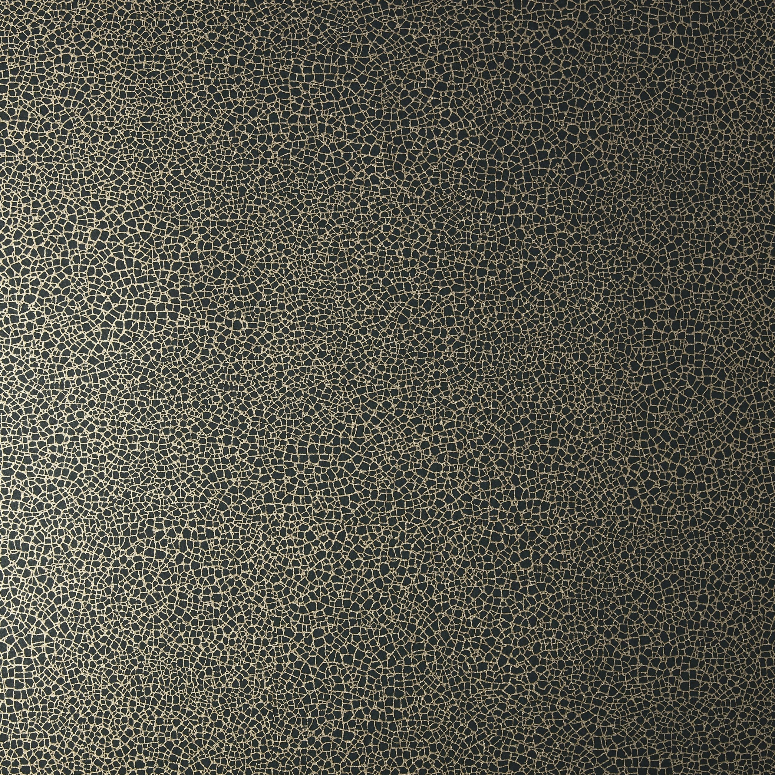 1838 Wallcoverings Emile Behang 1907-141-06 - Jet Black