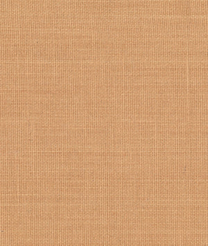 Dedar Toile Bâche Behang 02D2200700008 - LAB COLOUR THE WORLD
