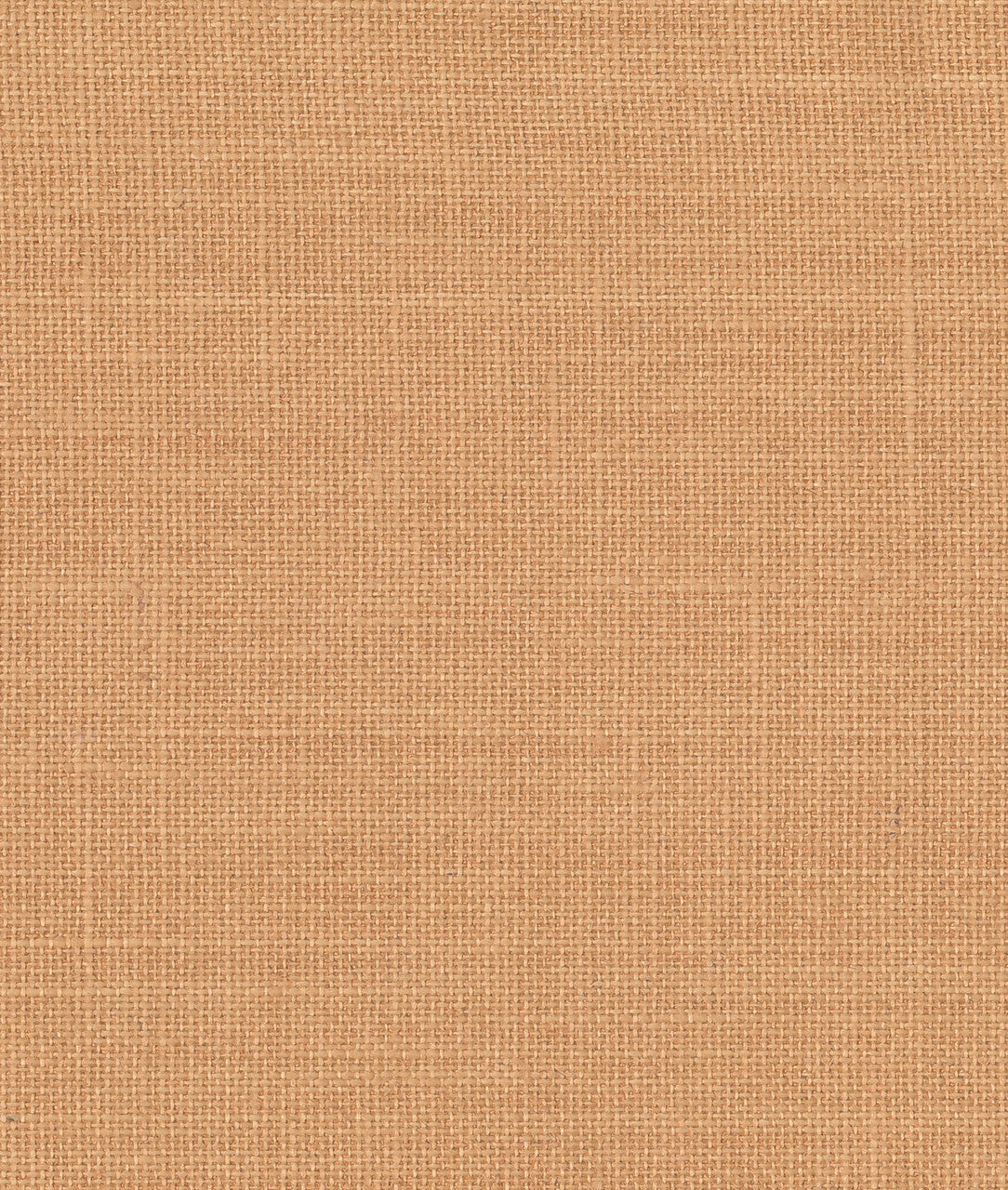 Dedar Toile Bâche Behang 02D2200700008 - LAB COLOUR THE WORLD
