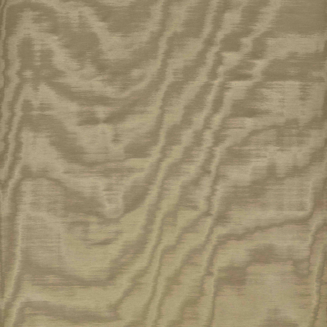 Dedar Amoir Fou Behang 02D2080600019 - LAB COLOUR THE WORLD