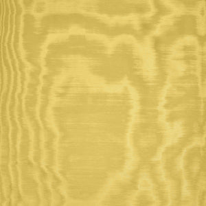 Dedar Amoir Fou Behang 02D2080600031 - LAB COLOUR THE WORLD