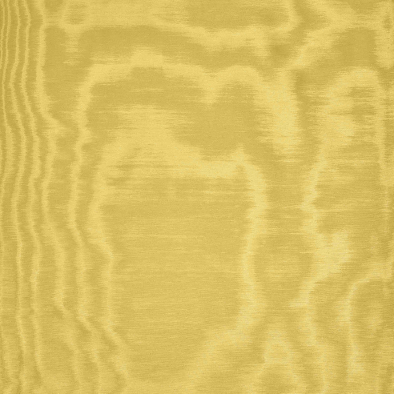 Dedar Amoir Fou Behang 02D2080600031 - LAB COLOUR THE WORLD