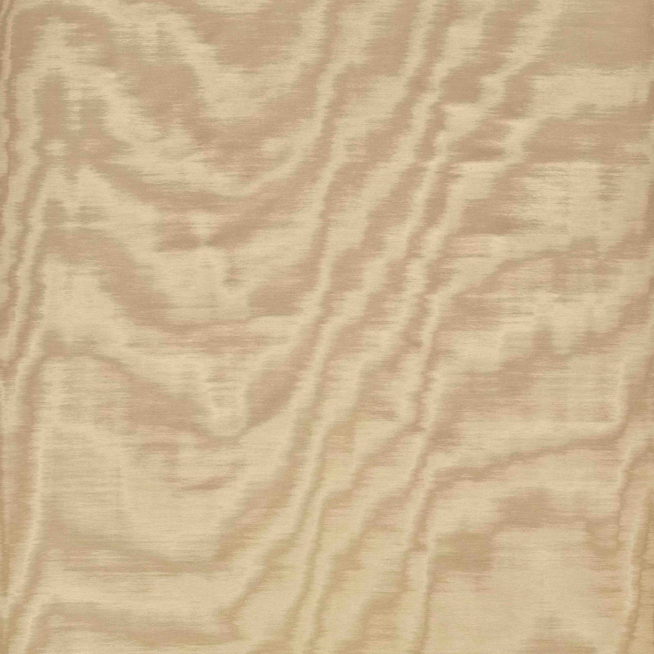 Dedar Amoir Fou Behang 02D2080600005 - LAB COLOUR THE WORLD