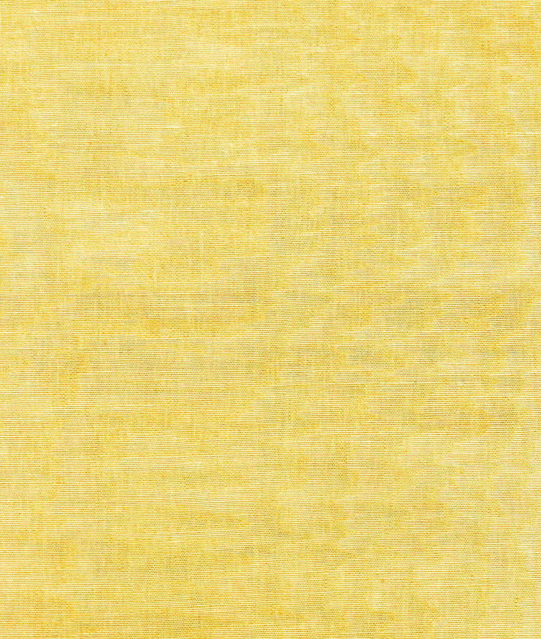 Dedar Moiré Chanvre Behang 02D2400200011 - LAB COLOUR THE WORLD