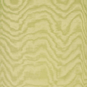Dedar Amoir Fou Behang 02D2080600018 - LAB COLOUR THE WORLD
