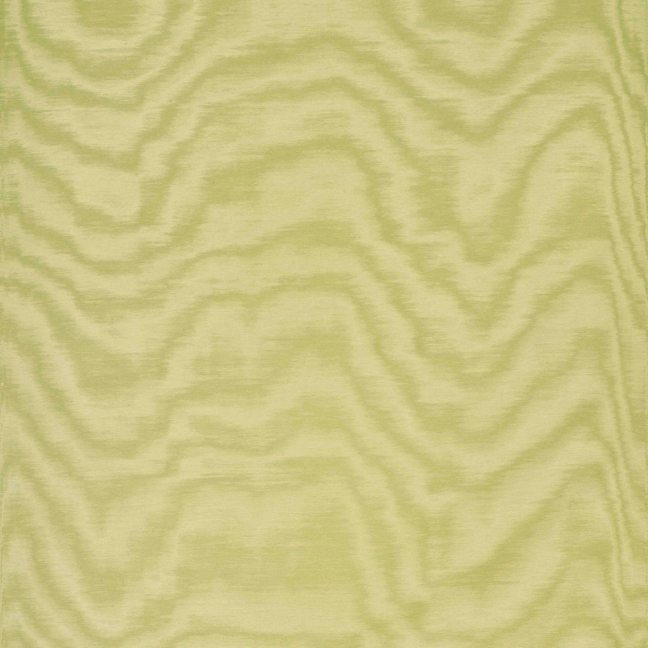 Dedar Amoir Fou Behang 02D2080600018 - LAB COLOUR THE WORLD