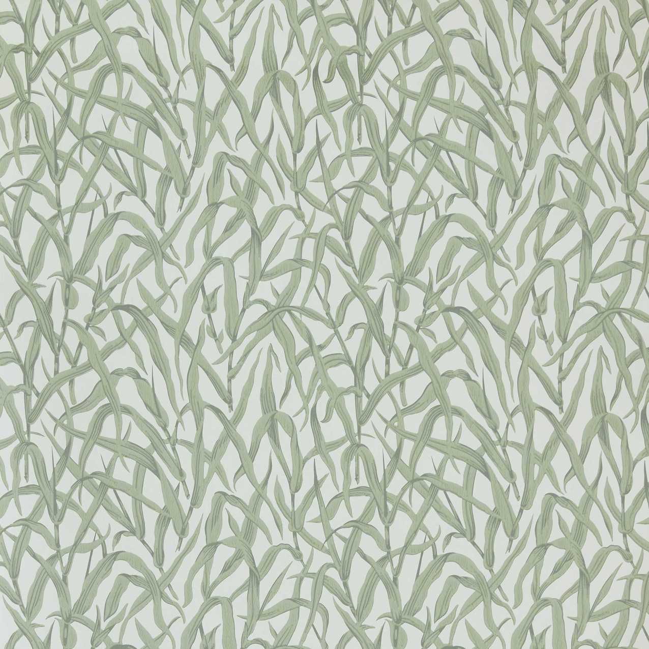 1838 Wallcoverings Ornamental Grasses Behang 2513-185-01 - Sage Green