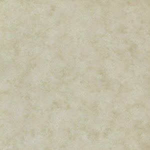1838 Wallcoverings Henley Behang 2513-189-04 - Stone