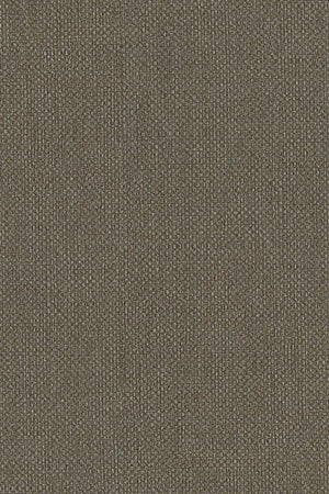 HookedOnWalls Passe Partout 2026 Colour Vibes 29842