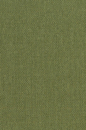 HookedOnWalls Passe Partout 2026 Colour Vibes 29809