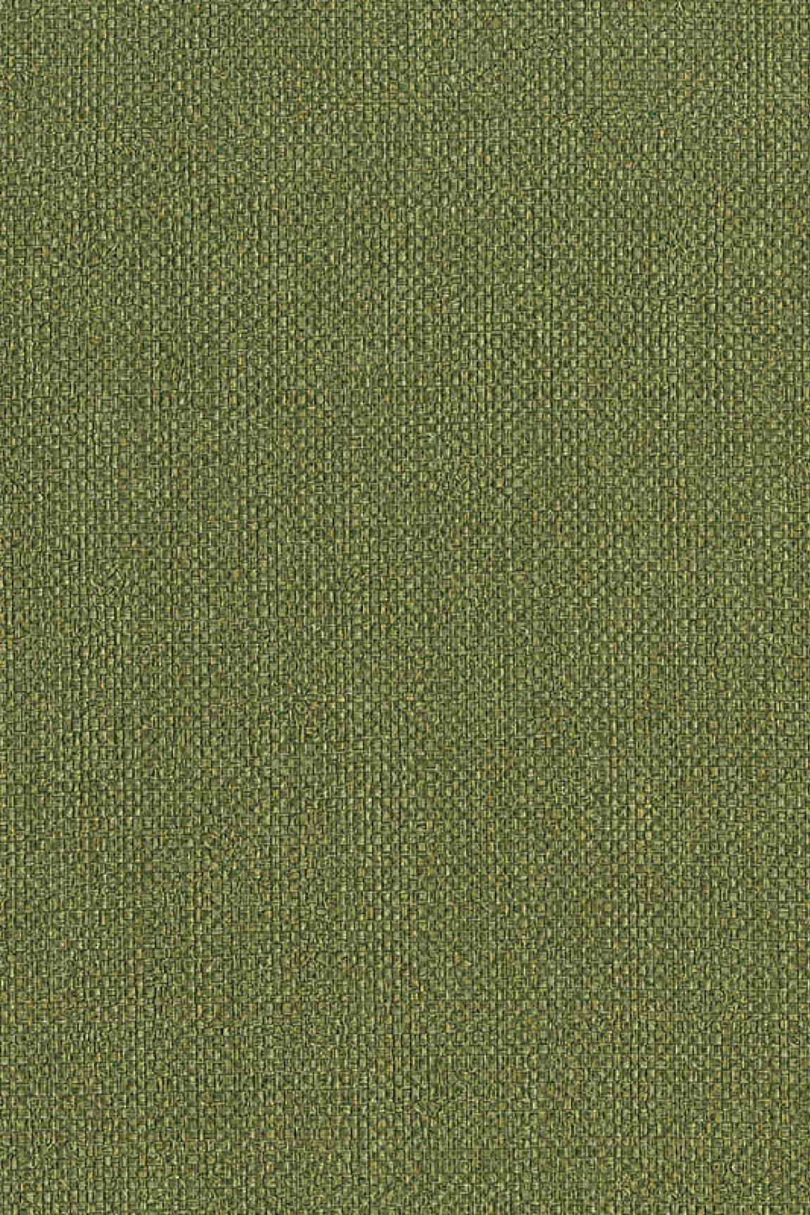 HookedOnWalls Passe Partout 2026 Colour Vibes 29809