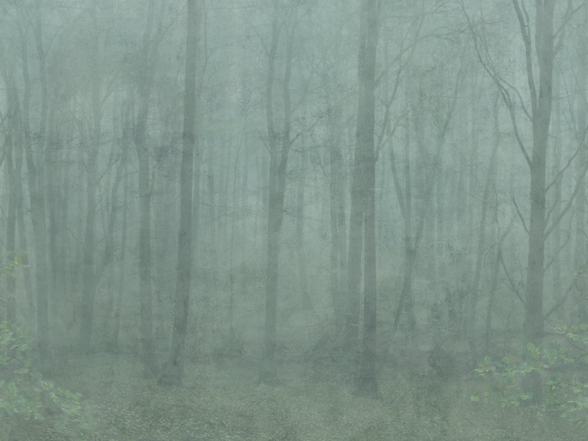 Sandberg Skog Behang 622-08 - Forest Green