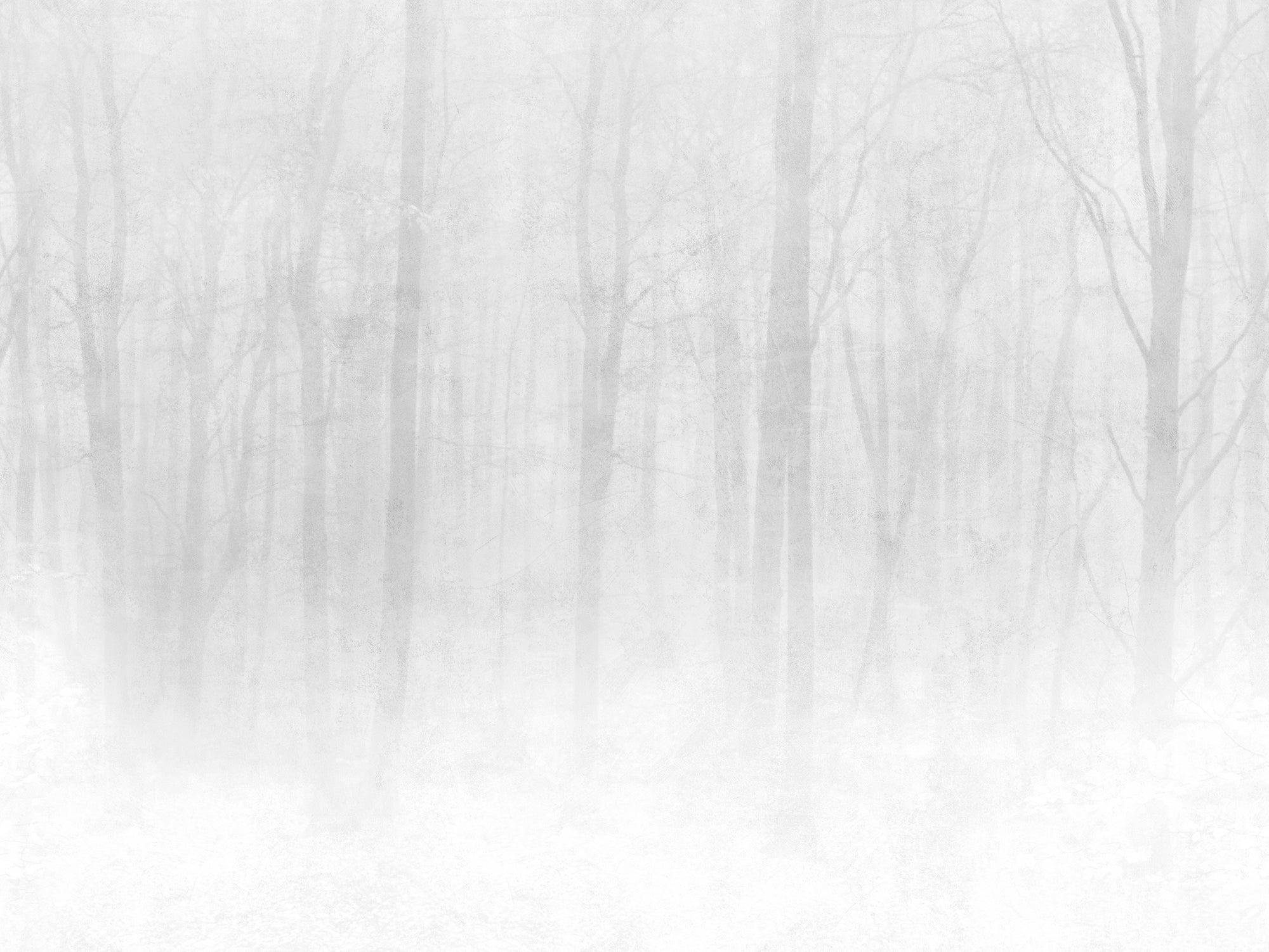 Sandberg Vinterskog Behang 622-18 - Gray