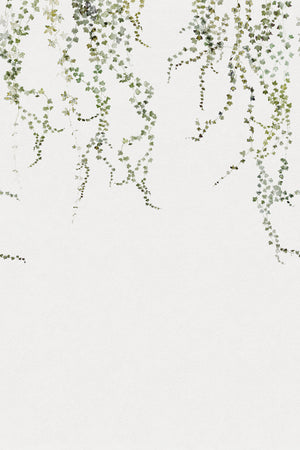 Sandberg Aralia Behang 640-04 - Moss Green