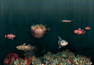 Coordonné Naturae Deep Ocean behang 9500500 behang afbeelding 1