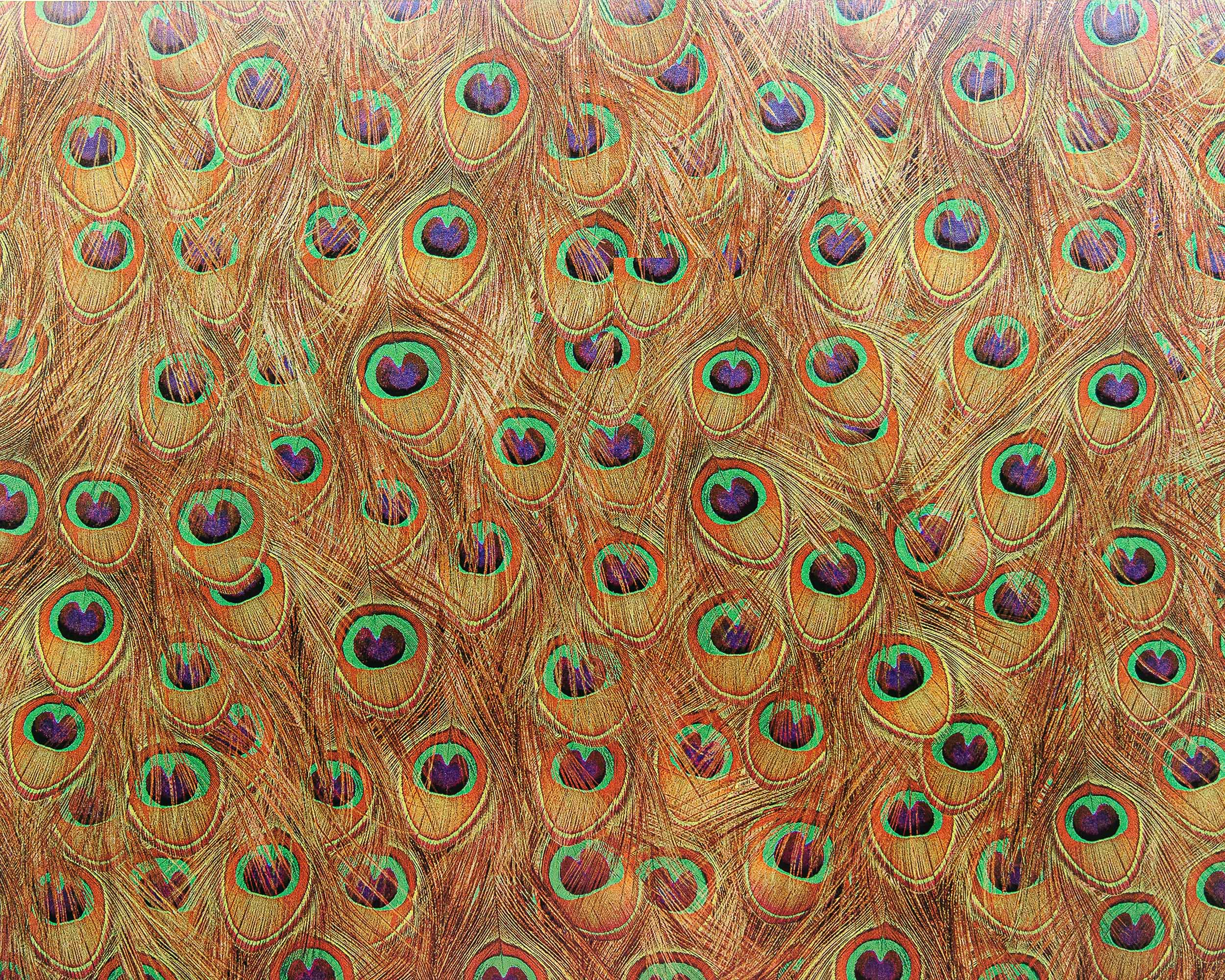 Coordonné Random Metallics Peafowl behang 9600090G sfeer afbeelding 2