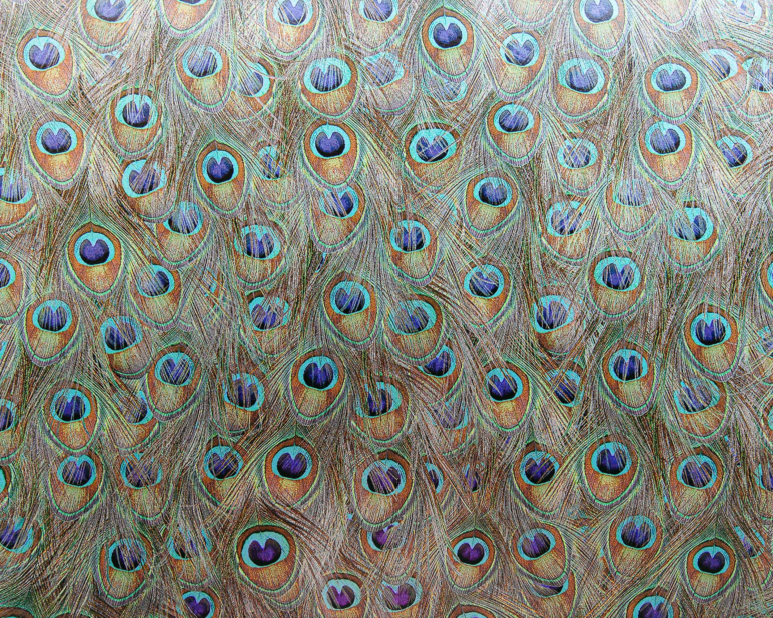 Coordonné Random Metallics Peafowl behang 9600091S sfeer afbeelding 2