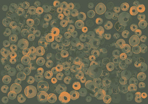 Coordonné Geo Cellular Patterns behang A00156 behang afbeelding 1