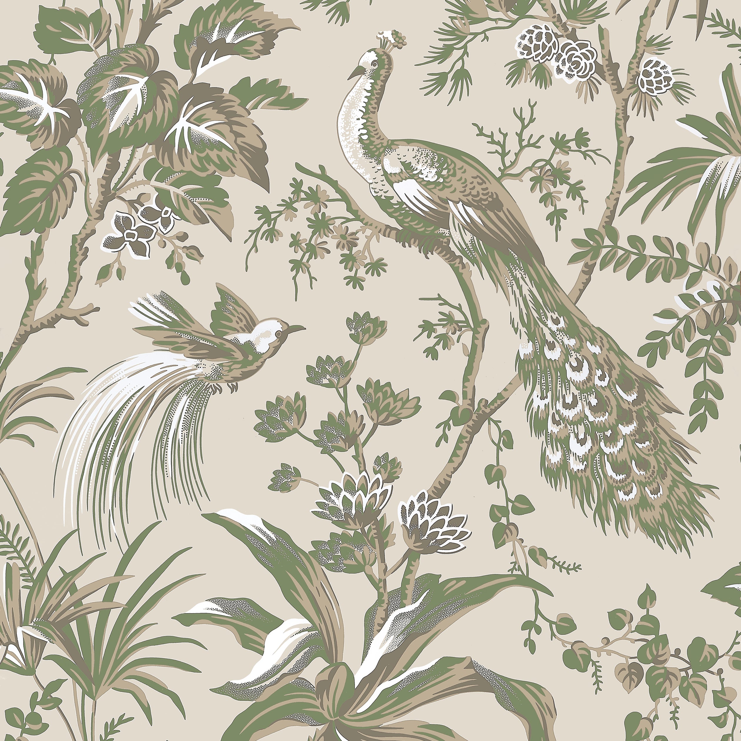 Anna French Peacock Toile Behang AT57832