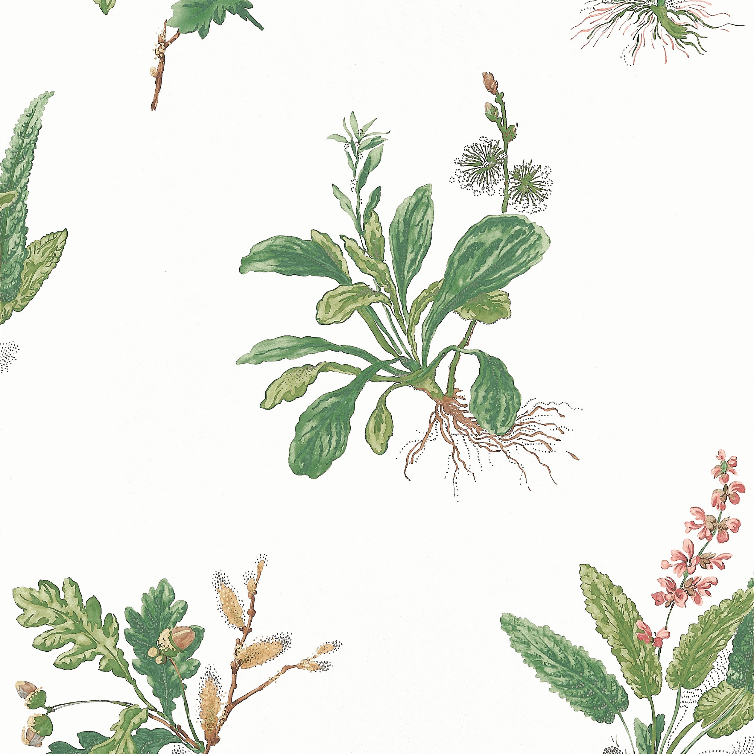 Anna French Woodland Behang AT57852
