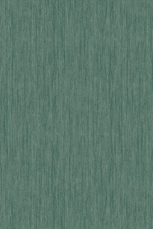 HookedOnWalls Passe Partout 2026 Colour Vibes 29941