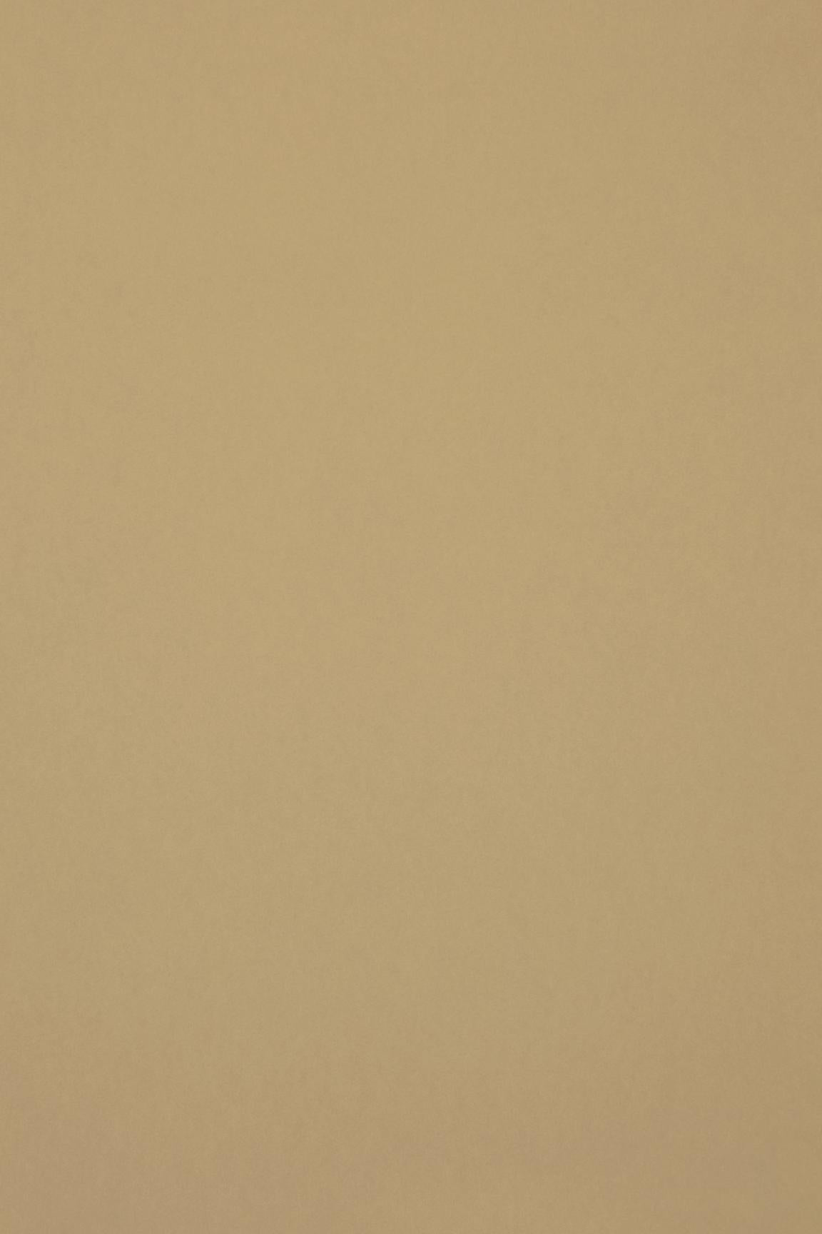 HookedOnWalls Passe Partout 2026 Colour Vibes 29888