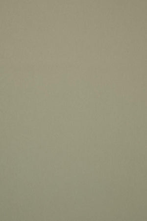 HookedOnWalls Passe Partout 2026 Colour Vibes 29813