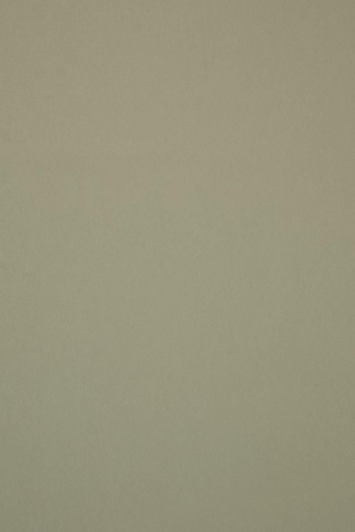 HookedOnWalls Passe Partout 2026 Colour Vibes 29813