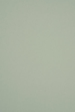 HookedOnWalls Passe Partout 2026 Colour Vibes 29951