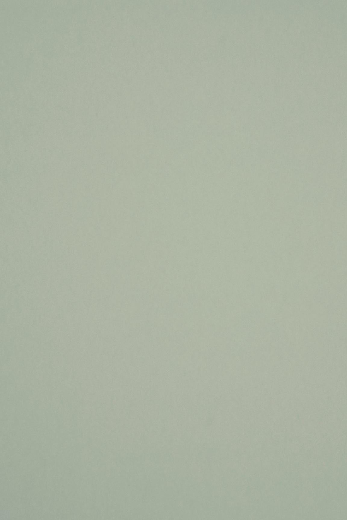 HookedOnWalls Passe Partout 2026 Colour Vibes 29951