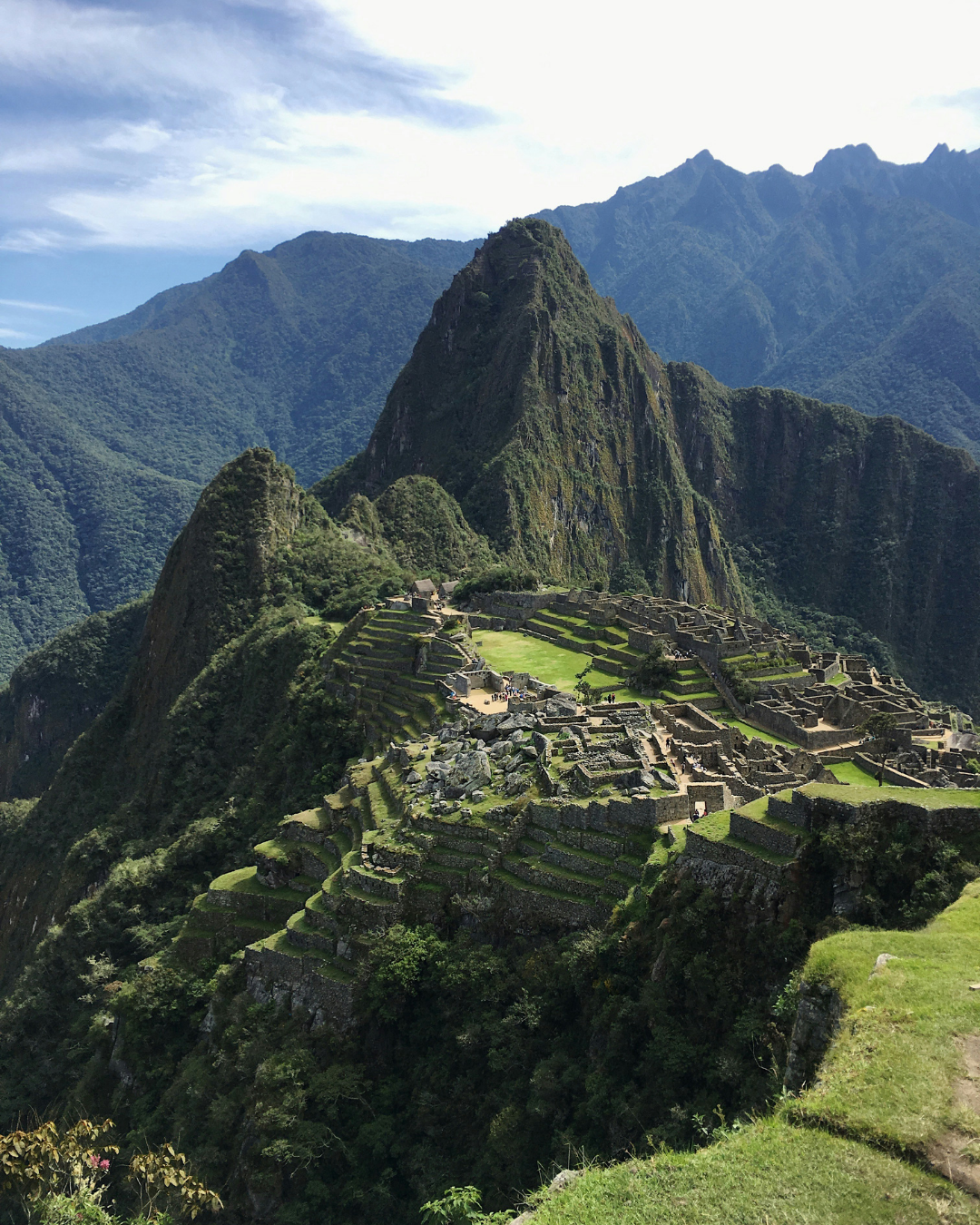 AVOCADO CLUB NR. 840