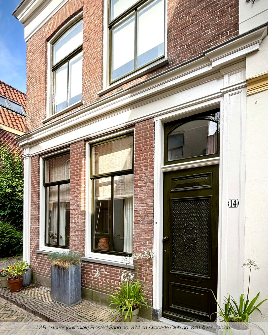 AVOCADO CLUB NR. 840