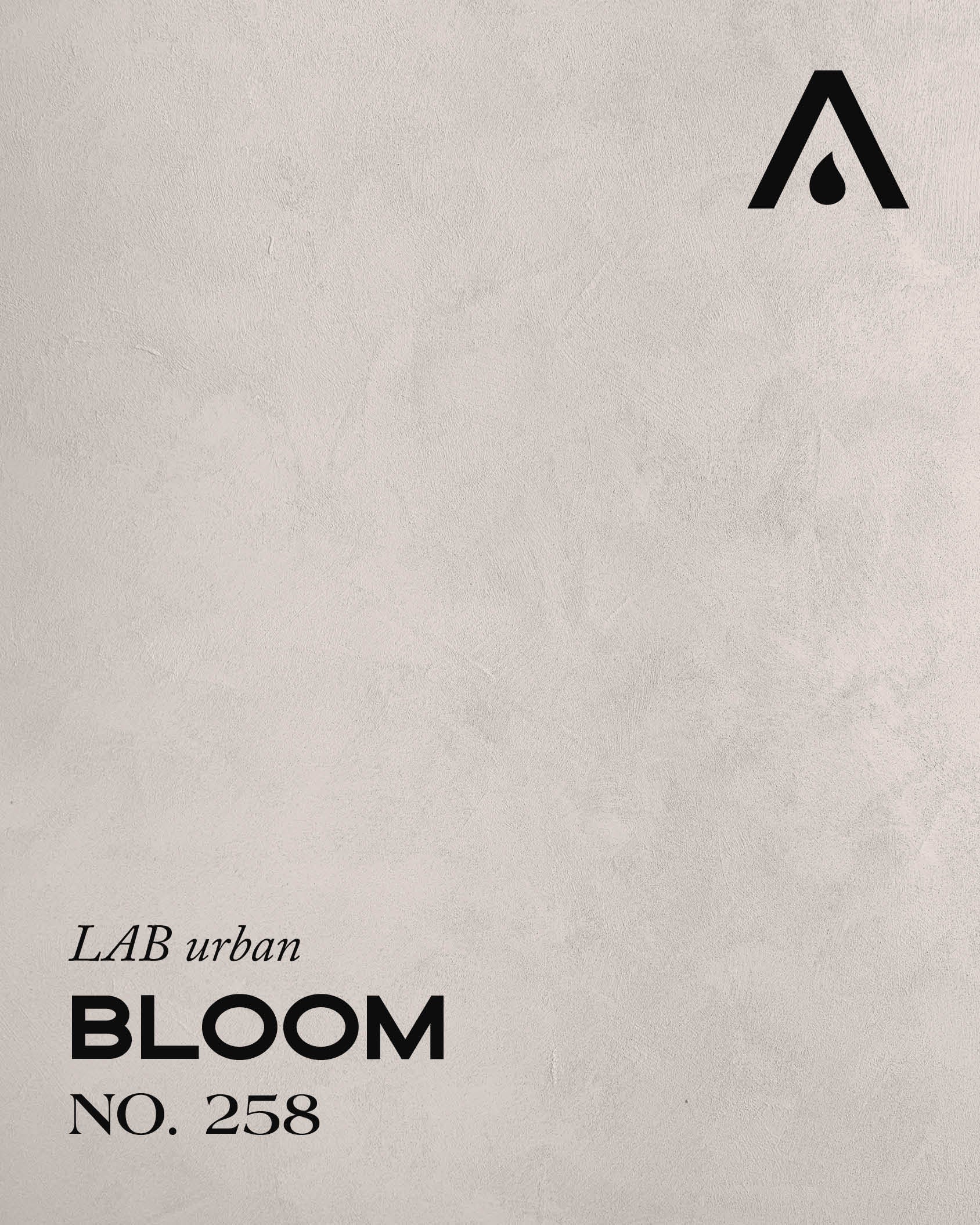 BLOOM NO. 258