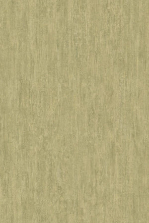 HookedOnWalls Passe Partout 2026 Colour Vibes 29810