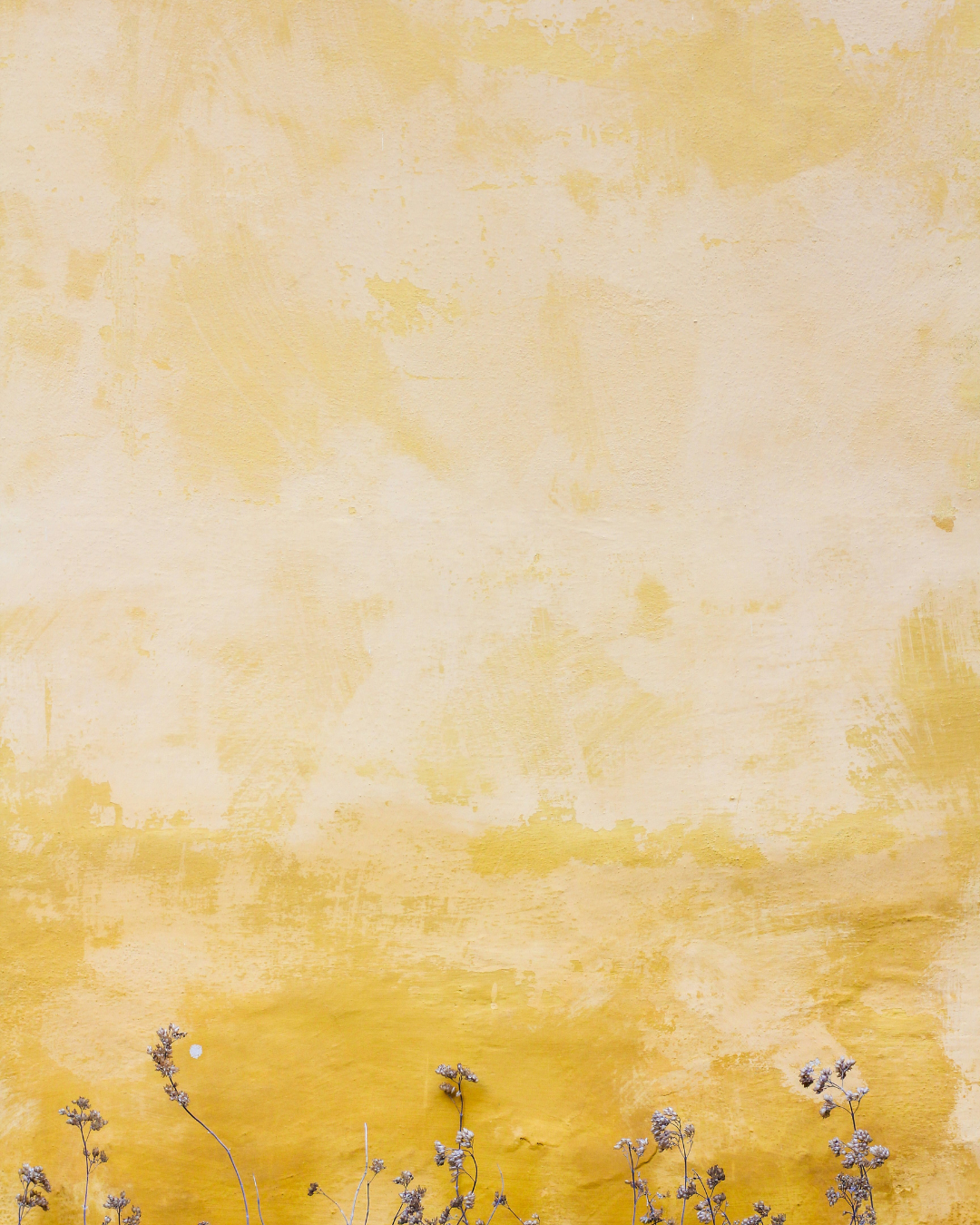 BILLY BUTTON NO. 775