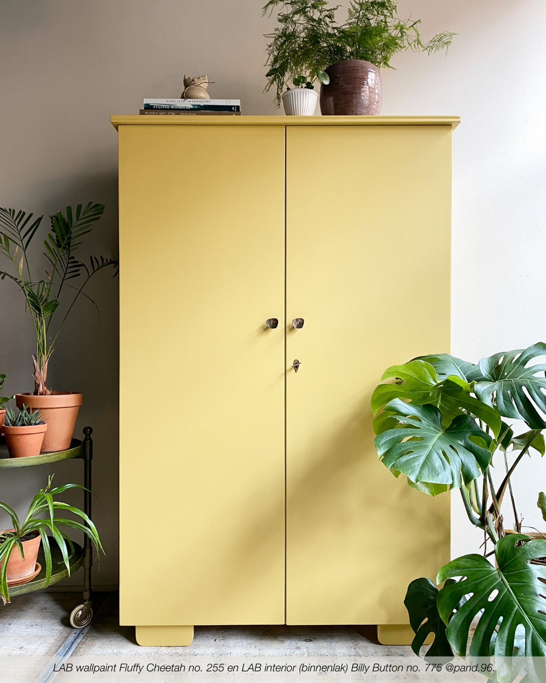 BILLY BUTTON NO. 775