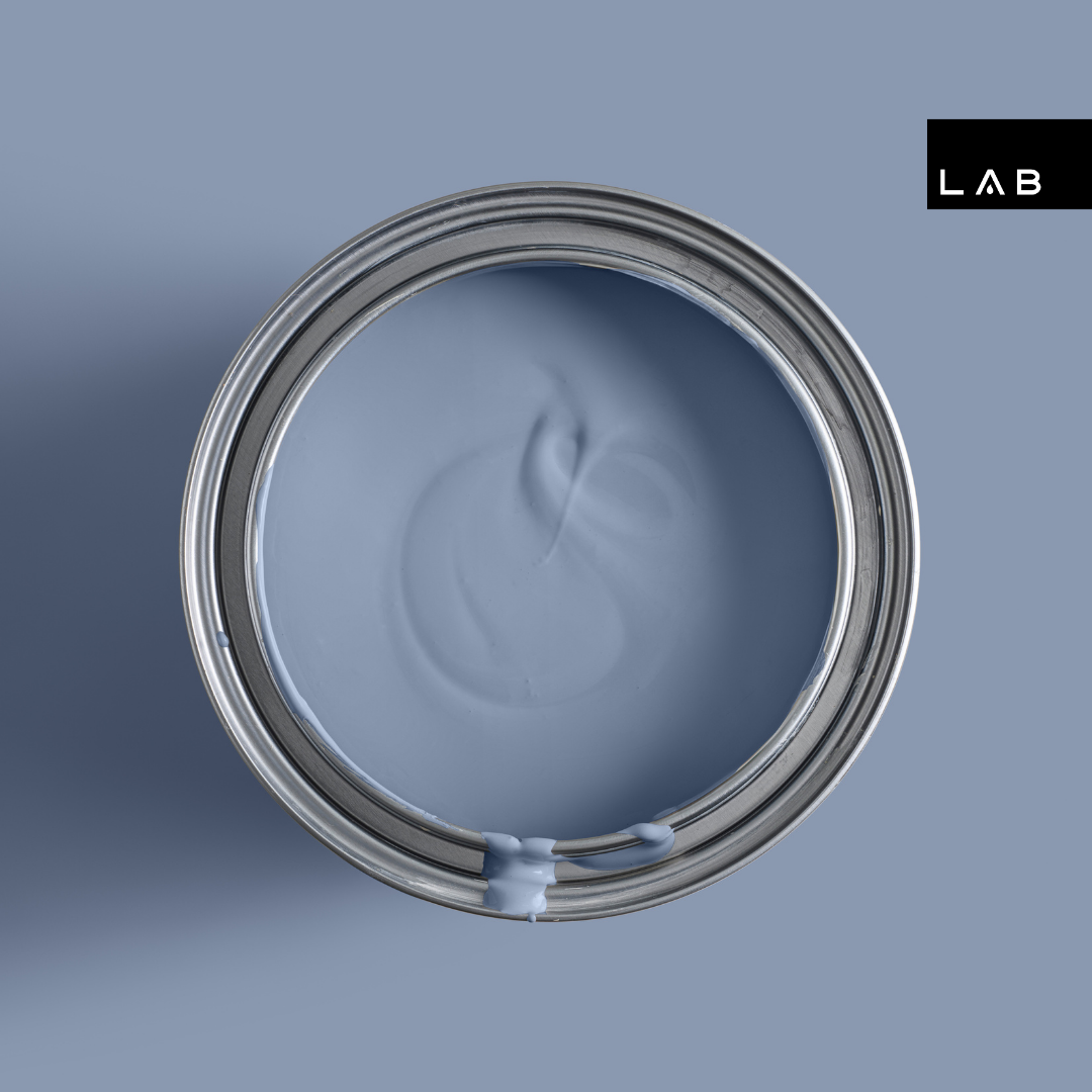 CANARY CHAMP NO. 442