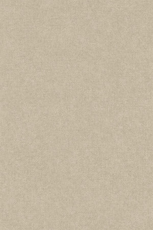 HookedOnWalls Passe Partout 2026 Colour Vibes 29826