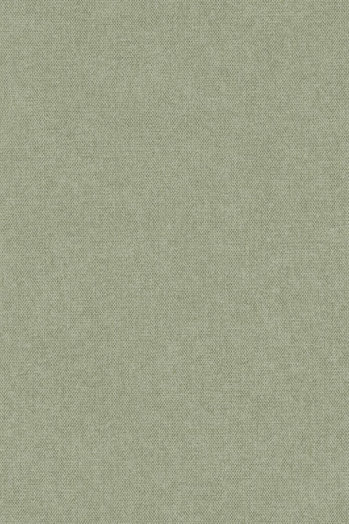 HookedOnWalls Passe Partout 2026 Colour Vibes 29801