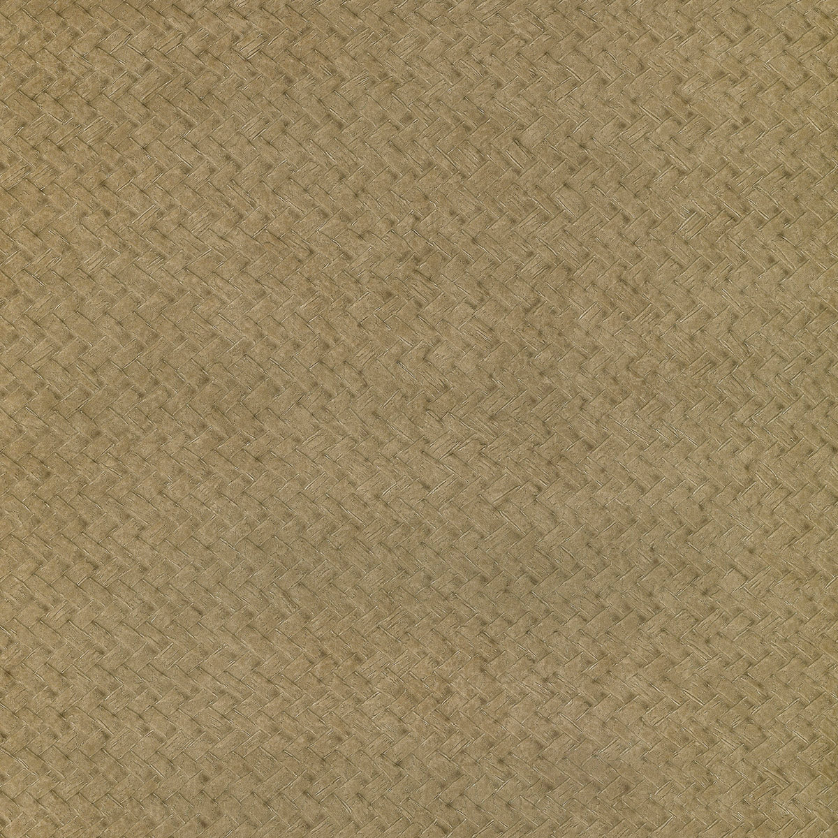Lizzo Behang Cesto 01