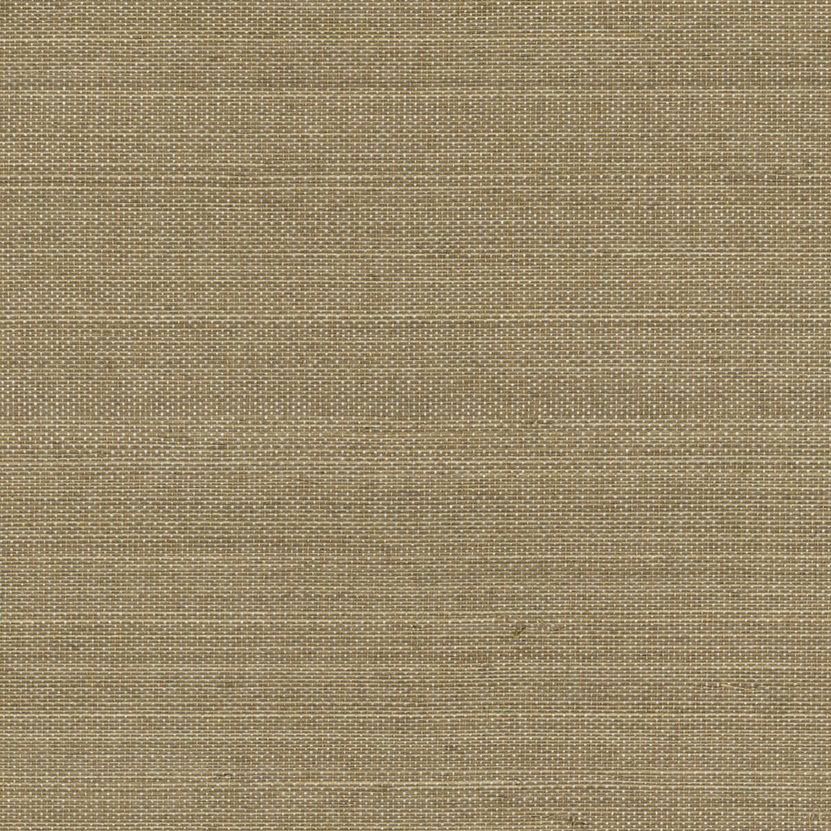 CMO Paris Abaca Précieux Behang CMO WAB 17 - Taupe