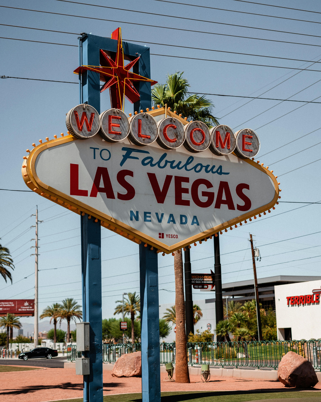 CANARY CHAMP NO. 442