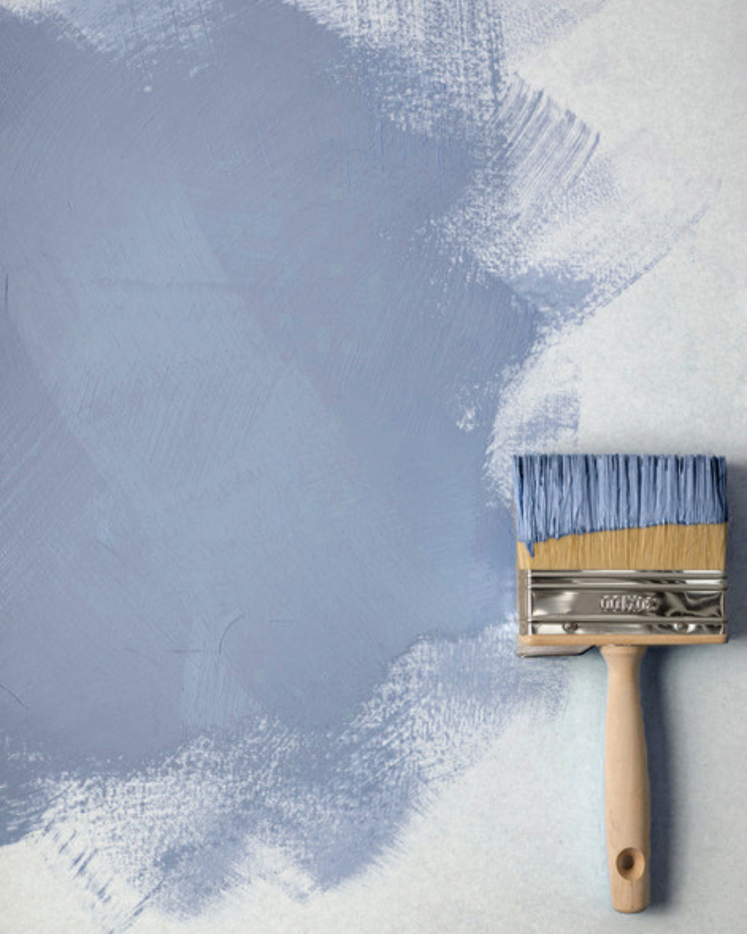 CANARY CHAMP NO. 442