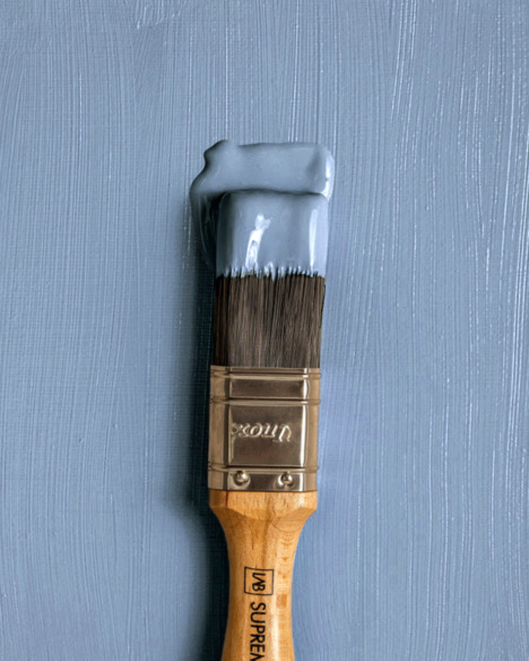 CANARY CHAMP NO. 442