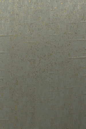 ARTE CA1 Cobra CA17 afbeelding 1 "Zwart / Grijs"