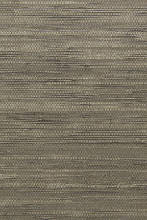 ARTE CA4 Cobra CA46 afbeelding 1 "Zwart / Grijs"