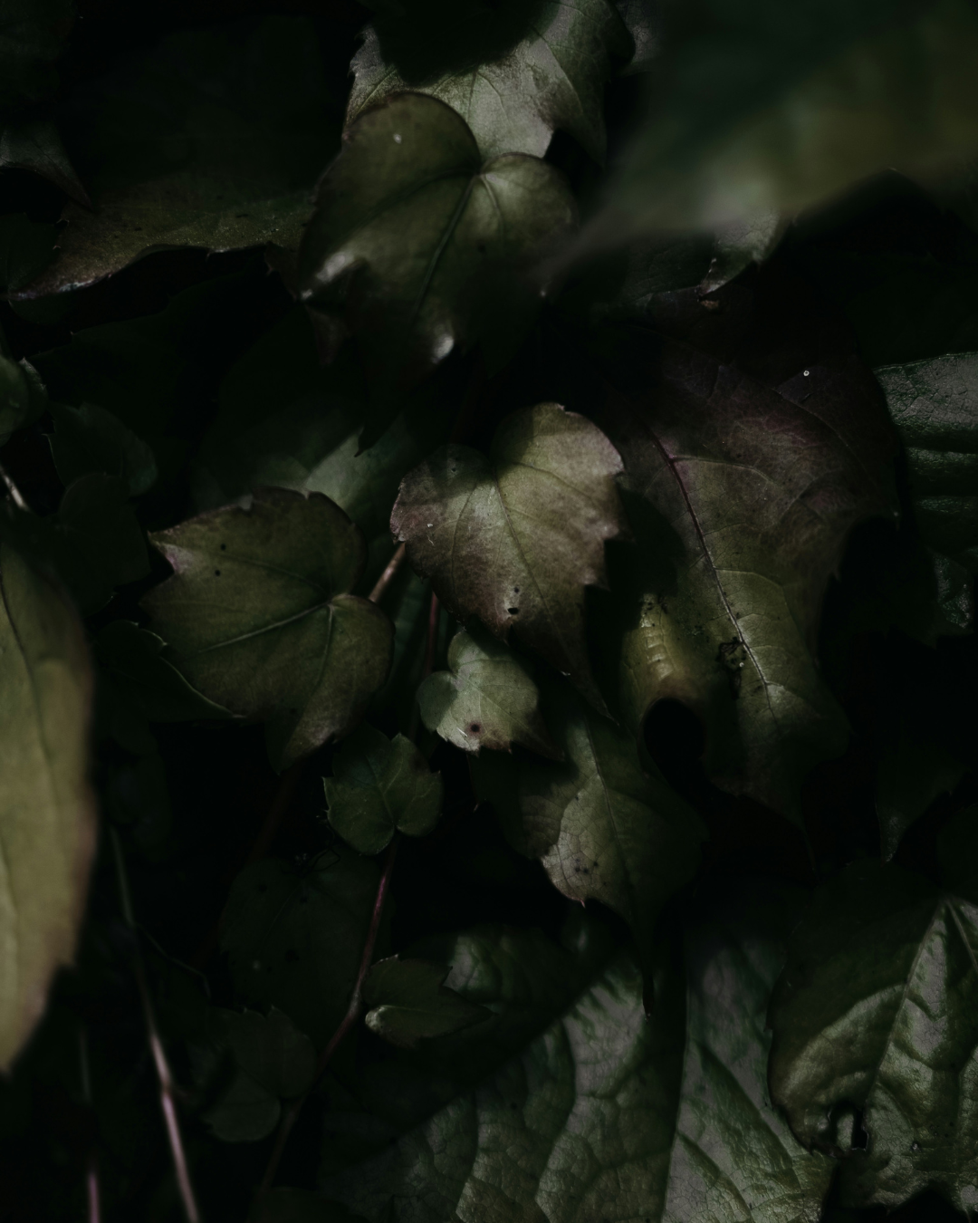 CRAZY EMERALD NO. 762